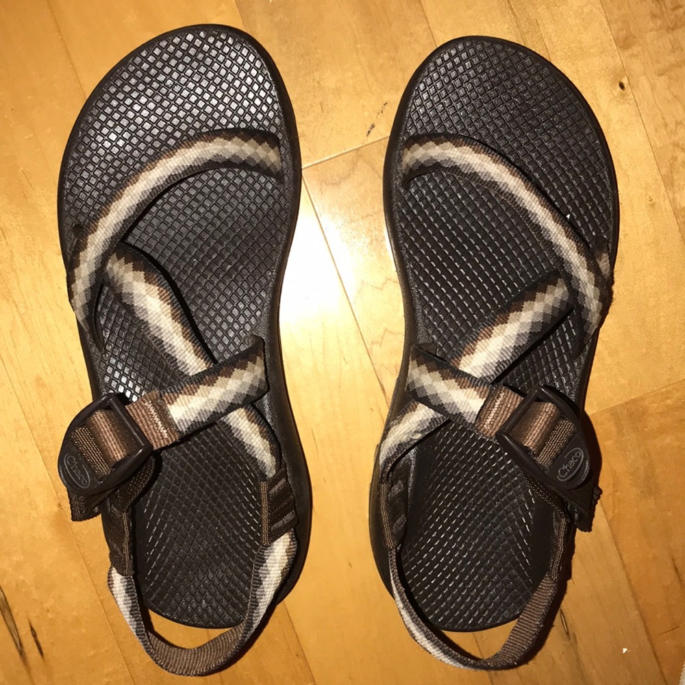 super cute chaco!